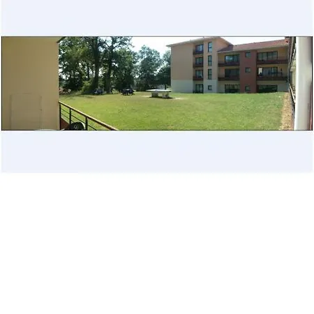 Adonis Toulouse - Du Parc