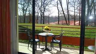 Adonis Toulouse - Du Parc Rouffire
