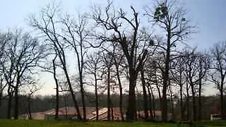 Apartmanhotel Adonis Toulouse - Du Parc